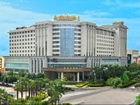 Nanning WinWin Hotel 5*