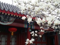 Scholar Tree Courtyard Hotel - Beijing Hebei Guest Hotel