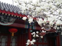 Scholar Tree Courtyard Hotel - Beijing Hebei Guest Hotel