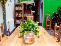 Beijing Peas Youth Hostel