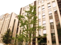 Jun Lai Yue Apartment - Wudaokou Branch