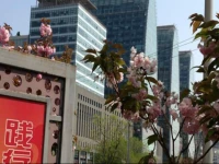 Lejia Aparthotel Beijing Xizhimen Branch