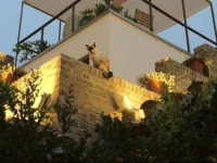 The Orchid Hotel, Beijing