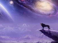 Sparrow Sojourn Coastal Inn