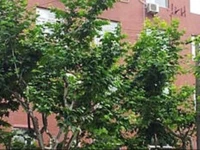 Hanting Express Shanghai Lujiabang Road