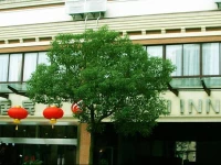 Maiju Inn (Formerly Home Hotel - Shanghai)