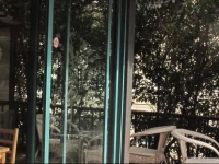 Beehome International Youth Hostel- Lujiazui