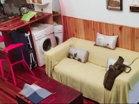 Maxines Planet in Tianzifang