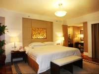 Shenzhen 999 Royal Suites & Towers