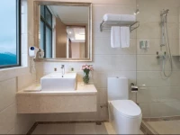 Vienna International Hotel Shenzhen Jingtian