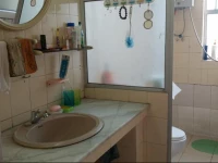 lotus flower village Minshuku