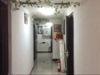 Shenyang 419 New Concept Hotel