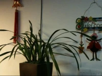 Xiamen Gu Xiang Bie Yuan Hostel