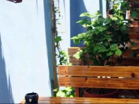 Xiamen Wake Up Naturally Inn