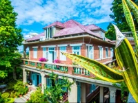 Chapter 8 - Only Take Domestic Guest