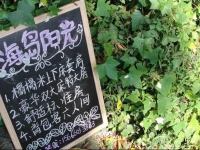 Island Sunshine Youth Hostel