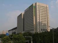Holiday Inn Xian Big Goose Pagoda 5*