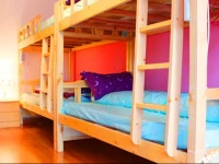 Xian в—Џ Dreamer Youth Hostel
