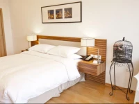 Suisse Place Li Gong Ti