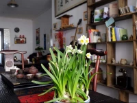 и‹Џе·ћеї†ж°ґй?‘еє­е›Ѕй™…йќ’е№ґж—…и€Ќ