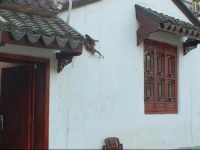 Suzhou Family Little Countyard Daily Rent