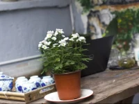 Suzhou iTHINK Youth Hostel