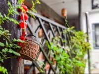 Suzhou Little Courtyard Inn