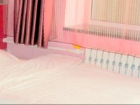 Suibin Xijianong Comfort Guesthouse