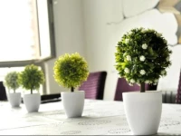 Taiyuan Sijifeng Youth Hostel