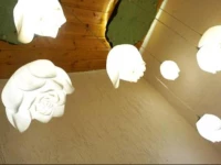 Zhujiajiao Qingyou House