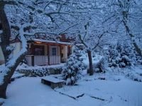 Ferienhaus Bad Suderode