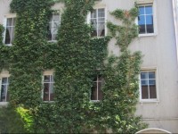 Pension Mahrets Puppenstube