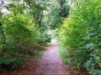 Pension Residenzhaus Eisenach