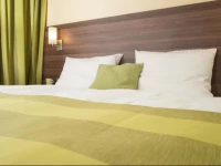 Goethe Conference Messe