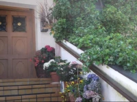 GГ¤stehaus Hohe Tannen