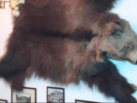 Gasthof zum BГ¤ren