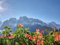 GГ¤stehaus Marianne