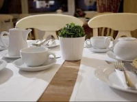 Buchholz Downtown Hotel