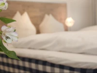 Domapartment Cologne City-Domblick