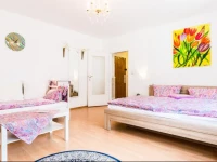 Apartments City/ Altstadt Mathias Str.