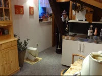 Ferienwohnungen im Fachwerkhaus