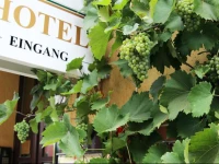 Alt-Connewitz Hotel in Leipzig