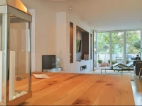 The Apartment Downtown