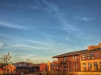 Road Stop Neandertal