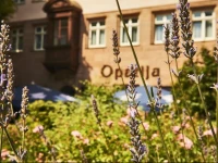 Hotel Hauser Boutique