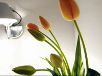 Ipartment Geronswall