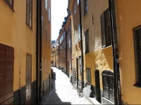 Executive Living Old Town Unique