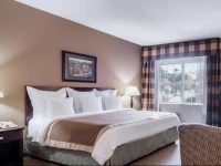 Hawthorn Suites Addison