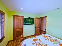 Magic Forest Disney Theme Home