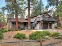 The Shady Lady #1265